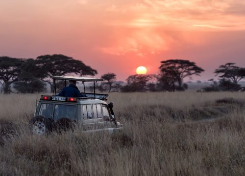 4 DAYS NAKURU MASAI MARA LUXURY LODGES