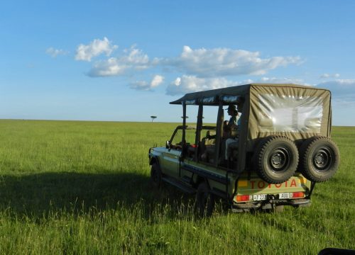 6 DAY AMAZING TANZANIA SAFARI