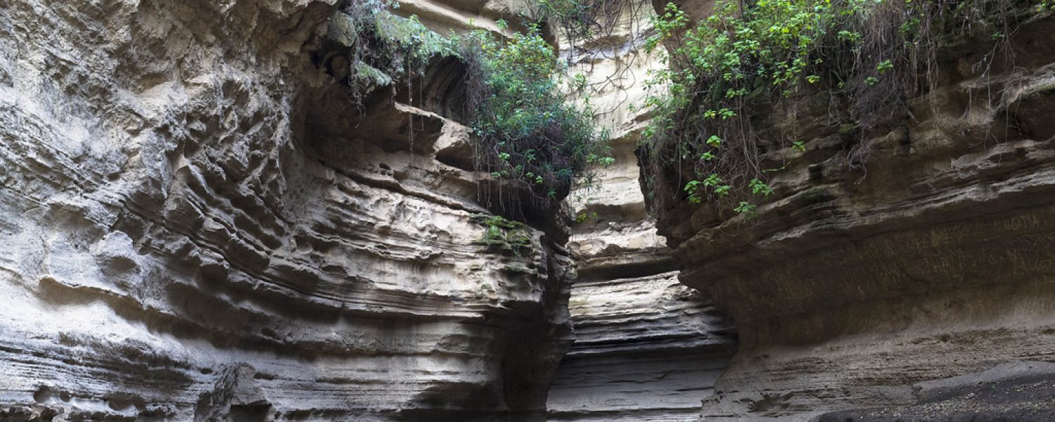 16211992521_0557971026_b