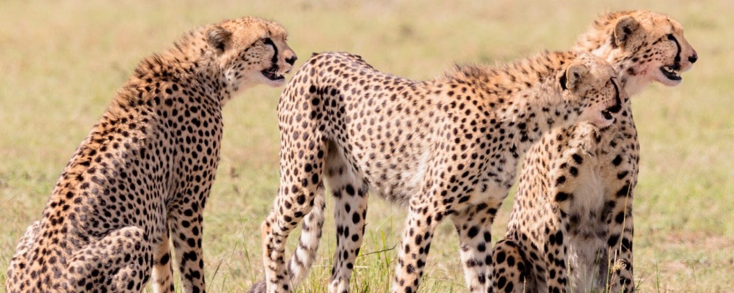 hari-nandakumar-Fv2MlmIiFG8-unsplash