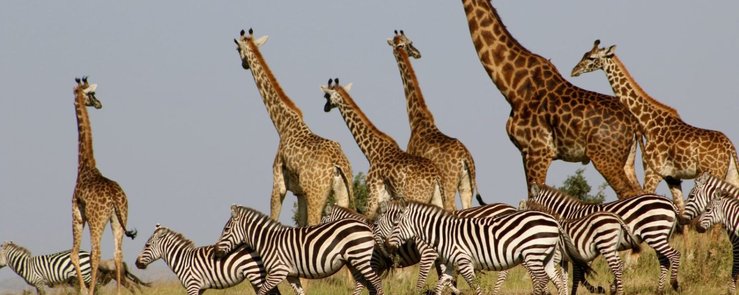 heather-m-edwards-taC5veAcyiA-unsplash